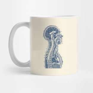 Upper Body Diagram - Vintage Anatomy Mug